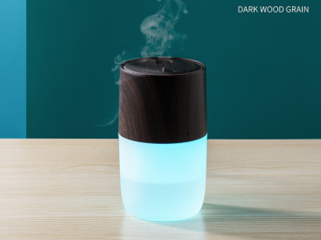 Mini Air Humidifier Portable Home Car USB Charging Desktop Office Small Silent Jellyfish Elf Moisturizing Humidifier